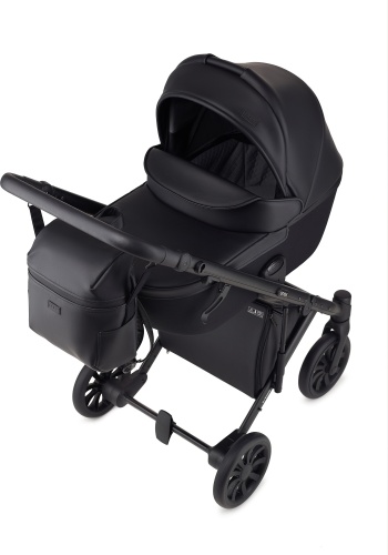 Коляска универсальная 2 в 1 Anex e/type 2in1 et-05A noir, черный