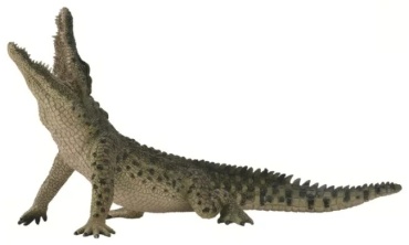 Collecta Нильский крокодил 88725
