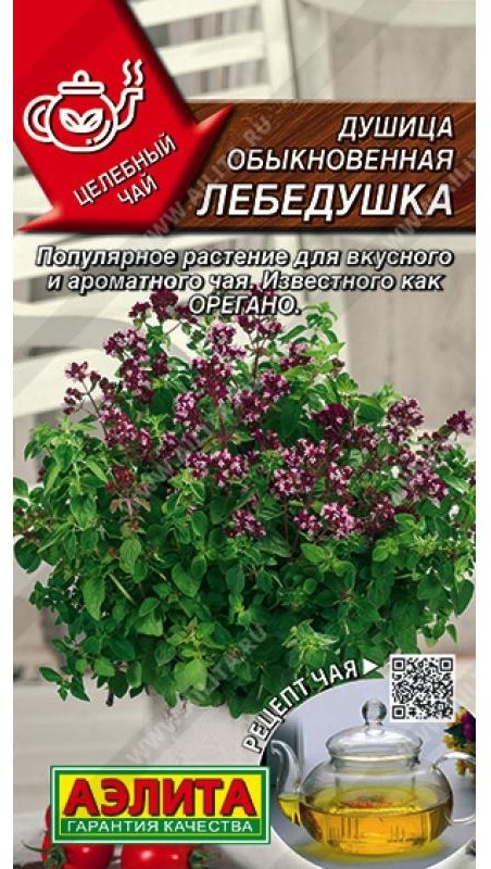 Аэлита душица Лебедушка