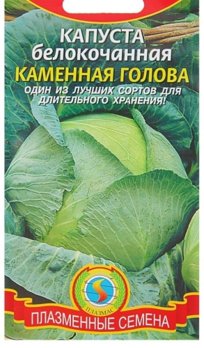 Плазменные Семена капуста белокачанная Каменная голова
