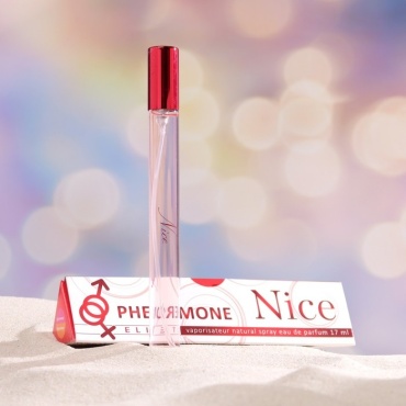 Today Parfum Elite Nice с феромонами туалетная вода EDT 17 мл
