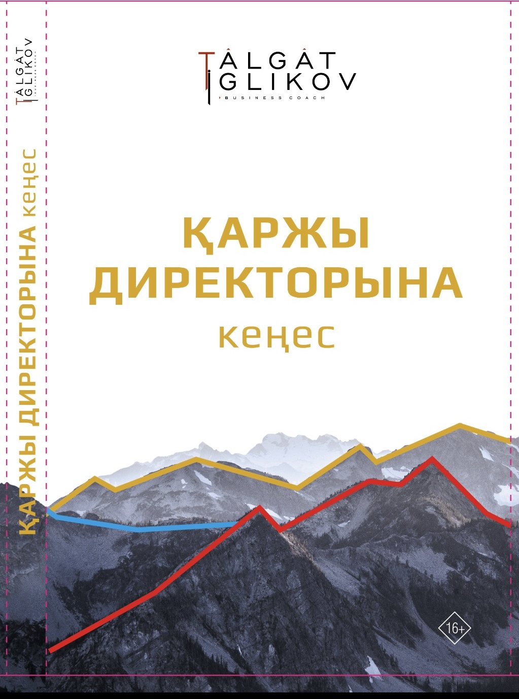 Қаржы директорына кеңес