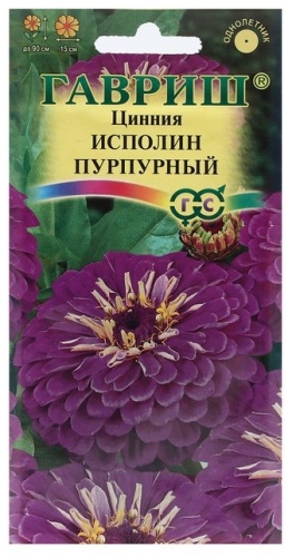 Гавриш цинния Исполин пурпурный