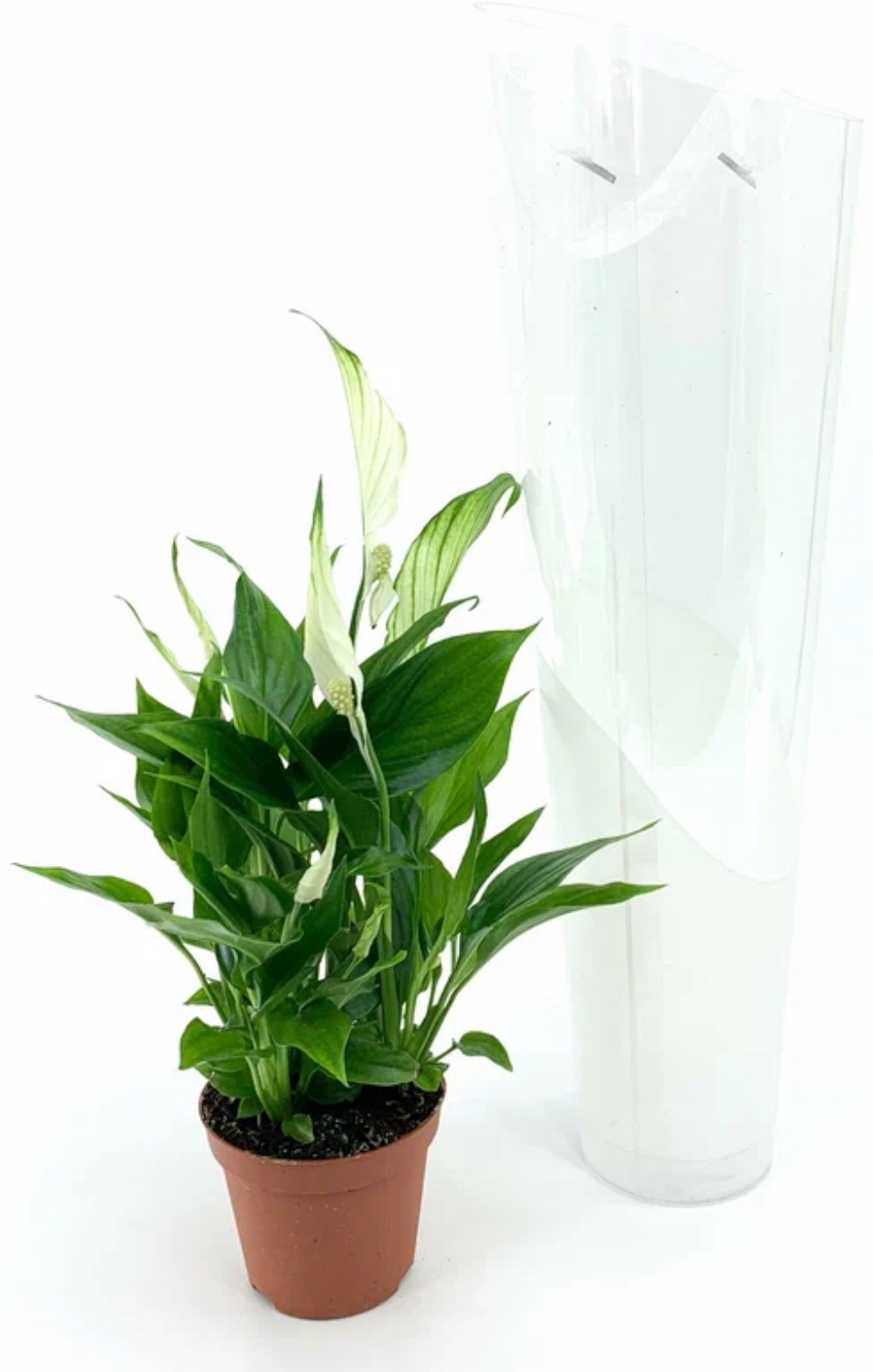 Фото 2