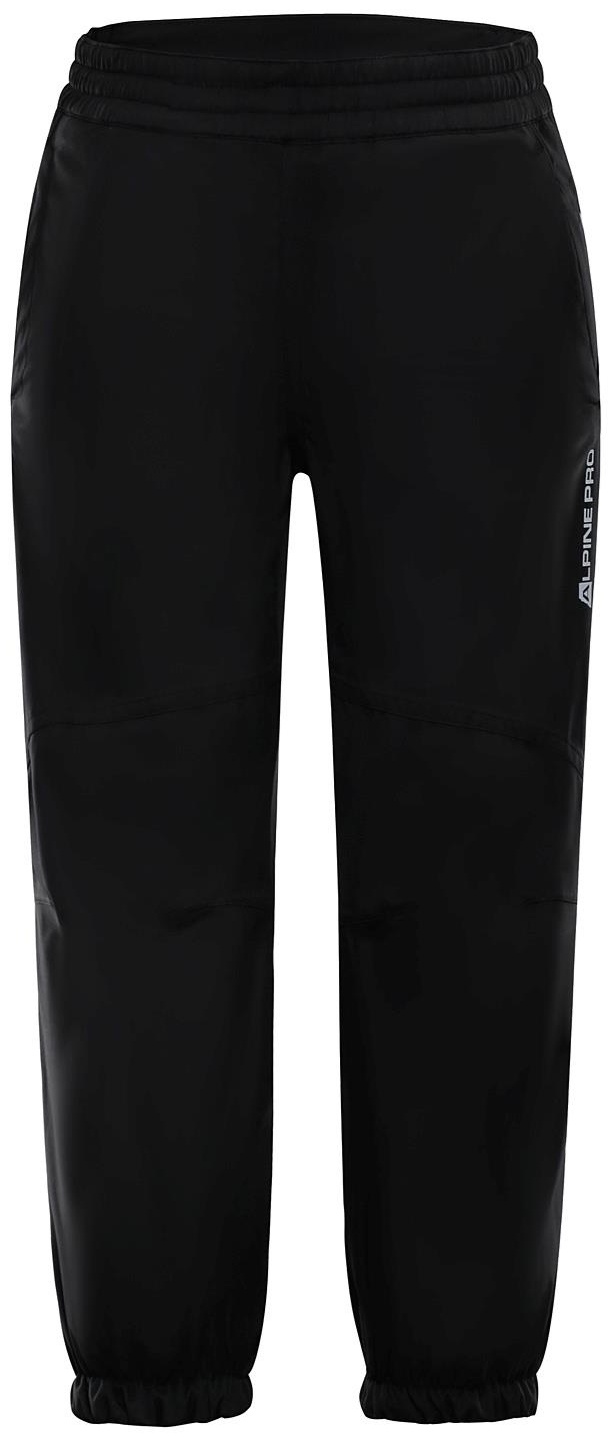 Спортивные брюки Alpine Pro черный