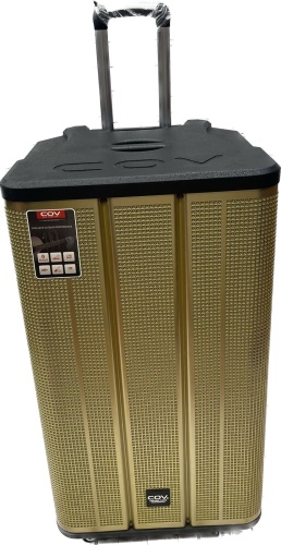 Портативная колонка COV COV-688 черный, золотистый