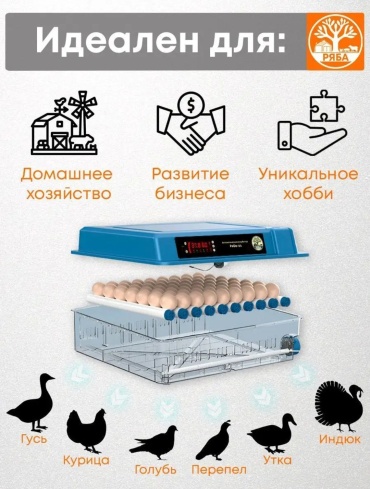 Fermer estd 1995 инкубатор, вместимость: 64 шт, прозрачный
