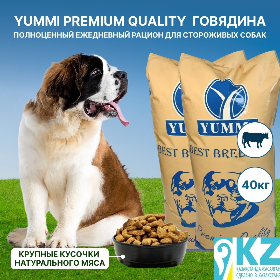 Купить Корм YUMMI Premium Quality 40 кг в Алматы – Магазин на Kaspi.kz