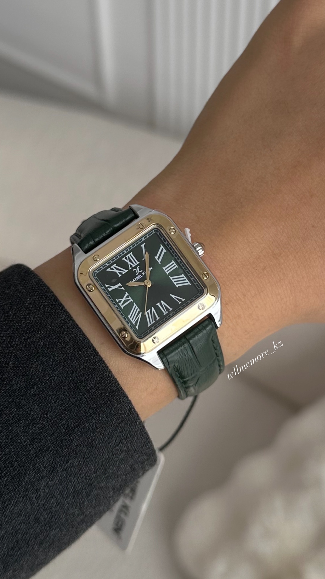 Кварцевые Daniel Klein DK.1.13599-3 нержавеющая сталь
