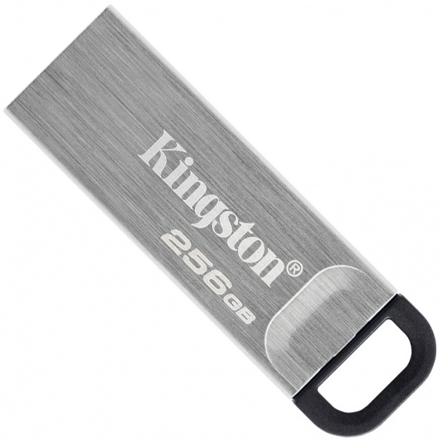 USB Flash карта Kingston DTKN/256GB 256 Гб