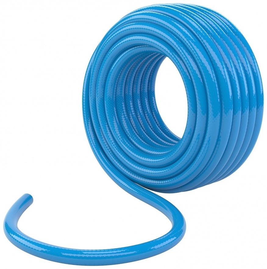 Жағажайдағы секс туралы бейне