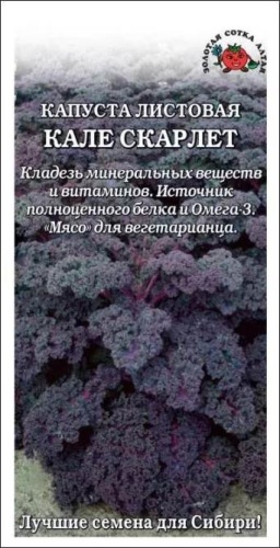 Золотая сотка Алтая кале Капуста Кале Скарлет листовая