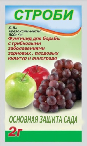 Порошок СТРОБИ л кг