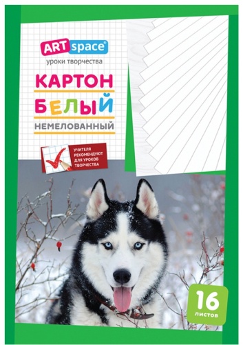 Картон белый односторонний ArtSpace Картон белый А4, ArtSpace, 16л., немелованный, в папке, А4, 16 листов