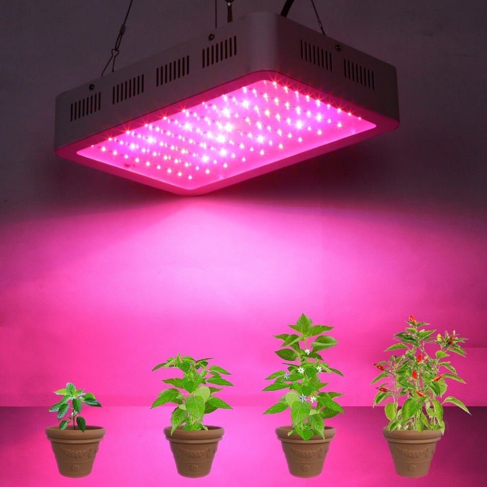 Фитолампа солнце дома купить. Led grow Light 300w. Фитолампа 300w полный спектр led. Led лампы для растений 300w.