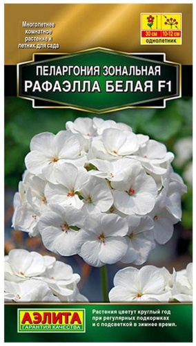 Аэлита пеларгония Рафаэлла F1 белая 30 см