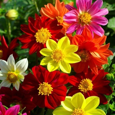 Фото 2