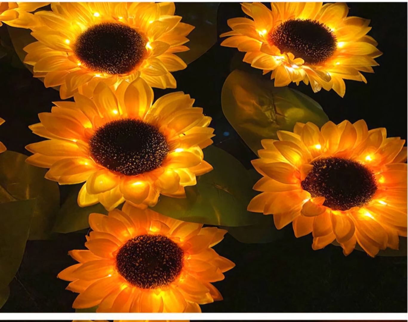 Фото 3
