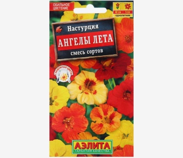 Аэлита настурция Ангелы лета