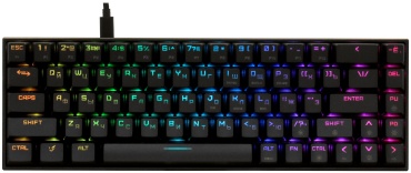 ARDOR GAMING Immortality mini черный
