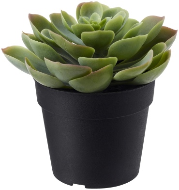 IKEA ФЕЙКА Суккулент 60395305