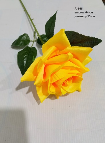 Фото 2