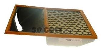 FRAM Воздушный Фильтр CA11813
