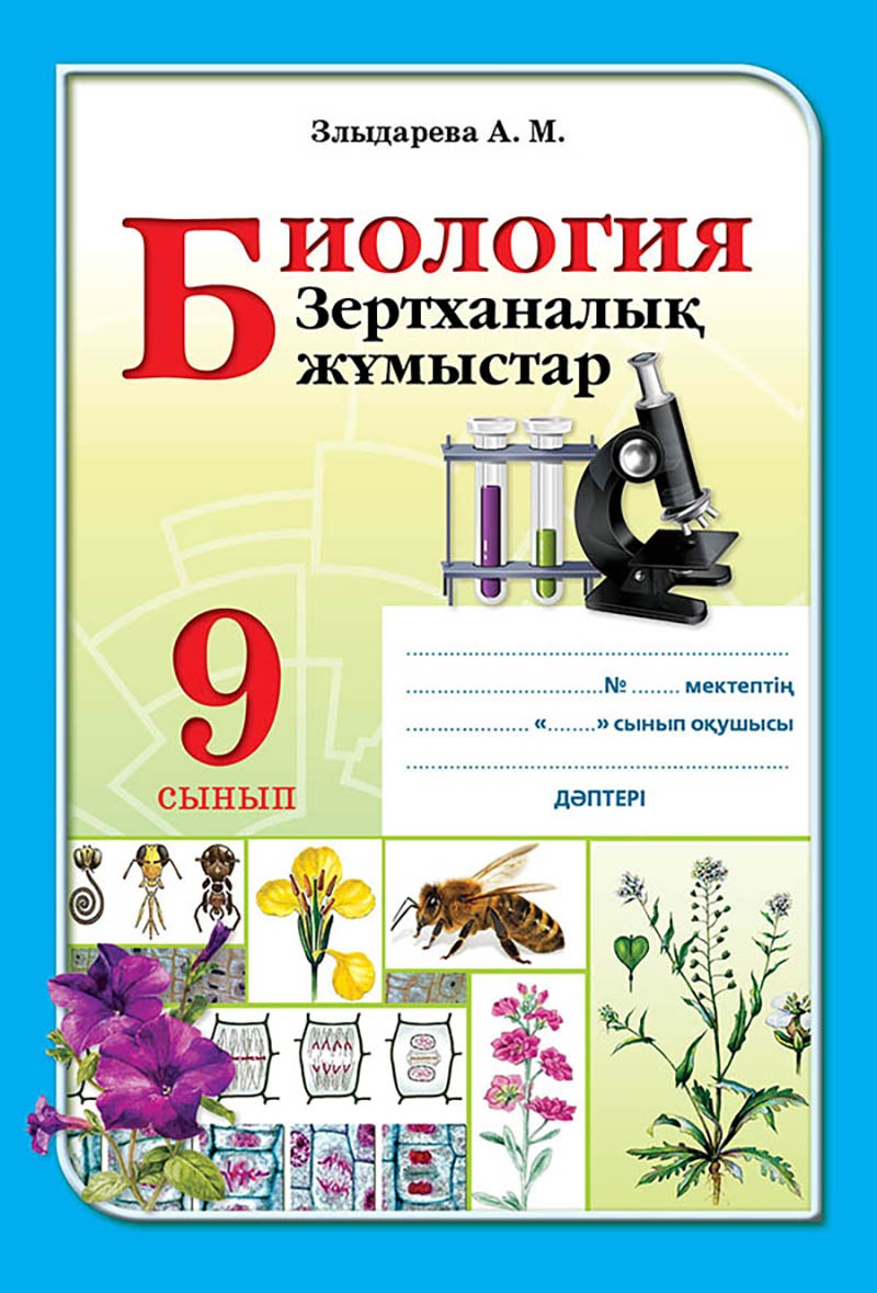 Жас жұбайлар жыныстық қатынасқа түсуге шешім қабылдады. MFF бейнесі.