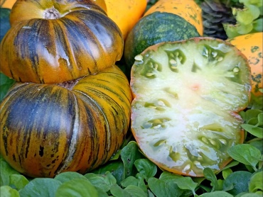 Фото 2
