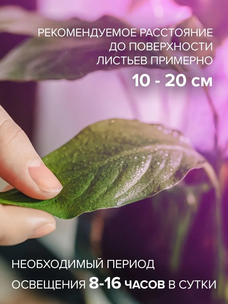 Фото 3