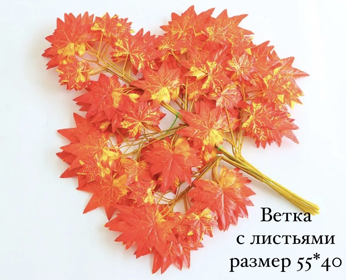 Клен 55 см, 090977