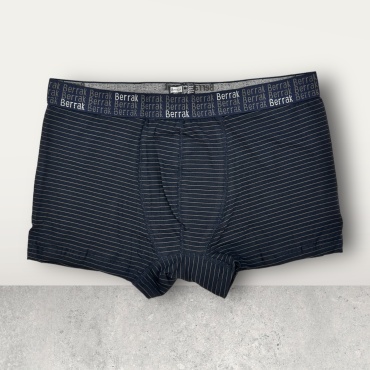 Боксеры Berrak collection синий