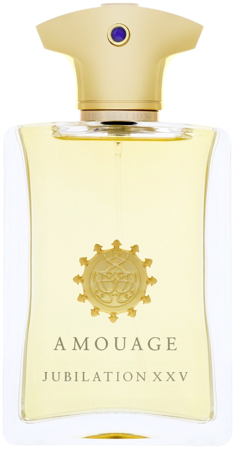 Amouage Jubilation XXV парфюмерная вода EDP 100 мл, для мужчин