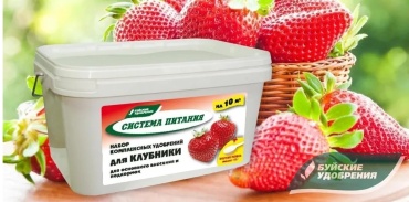 БХЗ порошок Система питания л кг