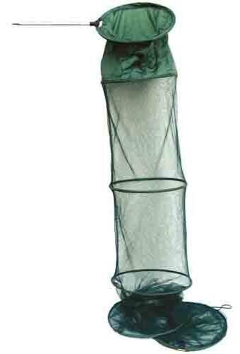 Salmo UT51835