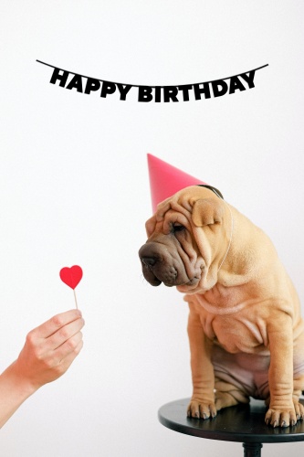 Растяжка Happy Birthday