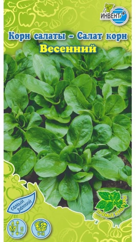 ИНВЕНТ+ салат Весенний (Корн)
