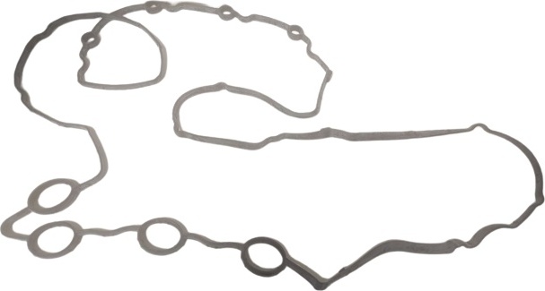 HAVAL прокладка клапанной крышки 1003301XEB05