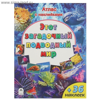 Морозова Д. : Этот загадочный подводный мир