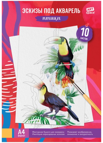 Папка ArtSpace Птицы БАЭ_37962 A4 10 листов