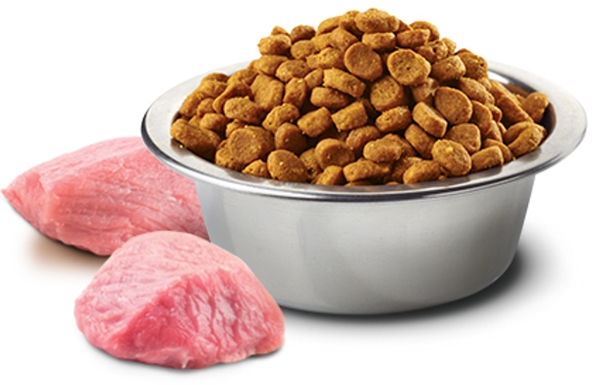 Упаковка корма для животных. Probalance корм для кошек. Корм ревивал. Сухой корм для щенков. Платинум для собак состав.