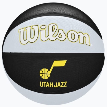 Мяч Wilson WZ4011602XB7 для баскетбола размер 7