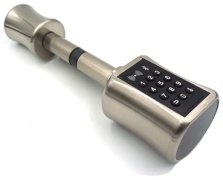 Электронный 147301