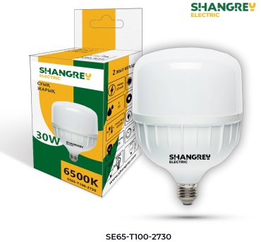 SHANGREY electric 30W E27, светодиодная, холодный белый