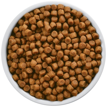 Probalance 1st Diet Kitten для котят цыпленок 1 кг