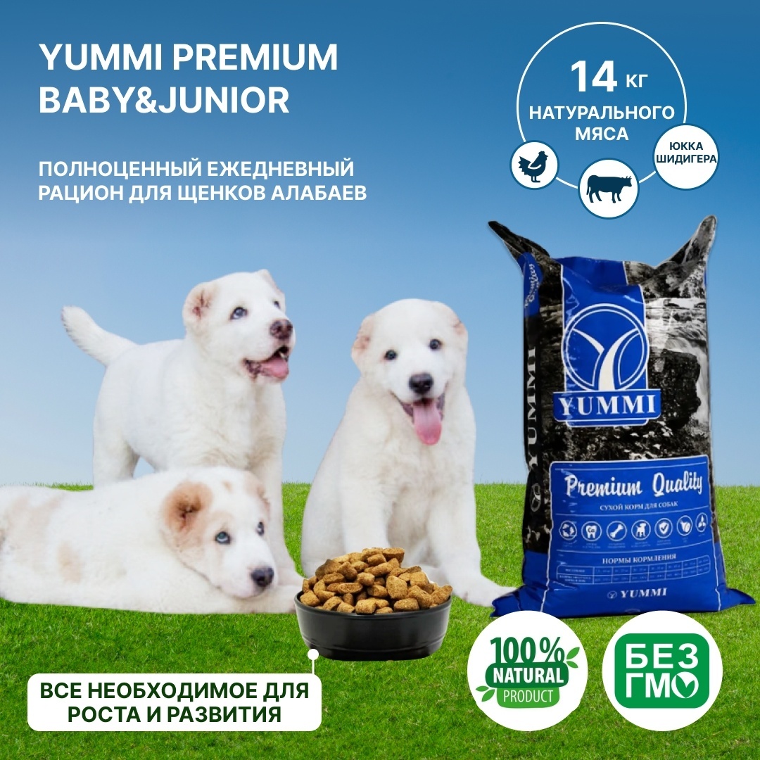 Купить Корм YUMMI Premium Quality Baby & Junior для щенков алабаев 14 ...