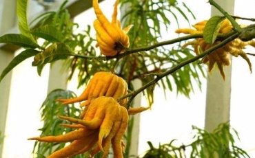 Фото 3