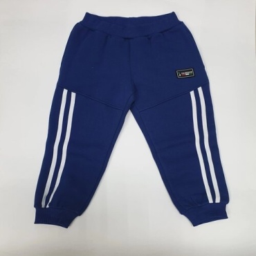 Спортивные брюки Vizir kids синий