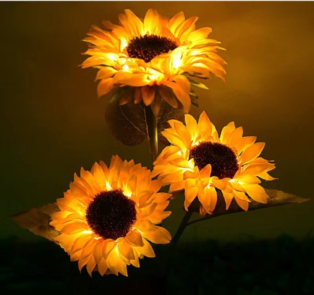 Фото 3