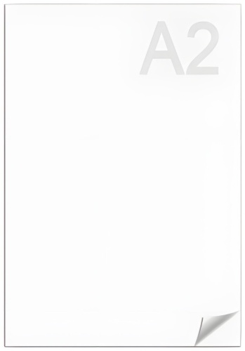 Ватман Гознак 121598, А2, 1 шт